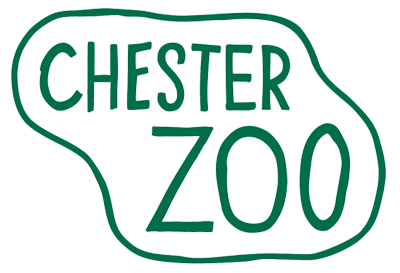 chester-zoo